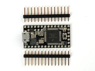 Teensy 3.0 board with  header