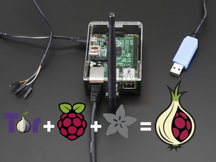 Assembled Onion Pi Pack w/Large Antenna