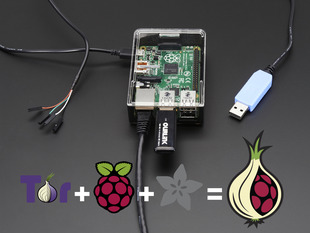 Assembled Onion Pi Pack w/ WiFi Module.