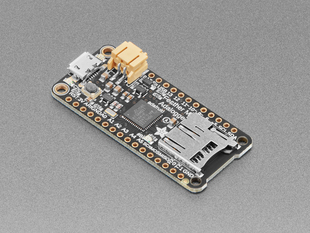 Angled shot of rectangular microcontroller with a MicroSD card installed.