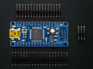 ATmega32u4 Dev Board with loose headers.