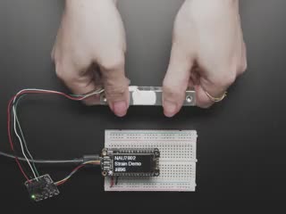 Video of a pair of white hand's trying to bend a strain gauge. The gauge is connected to a breakout board which is also connected to an OLED display on a half-size breadboard. The numbers on the OLED display show high digit numbers.