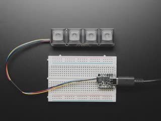 Top view video of a fully assembled NeoKey 1x4 QT I2C with switches and smoke gray keycaps powered by a QT Py on a breadboard. A hand reaches down to press the keys, which emit rainbow colors. 