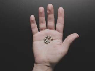 Video of a white hand holding ten wireless LED inductors in the palm of their hand. A small inductive coil is placed over the LEDs which light up red.