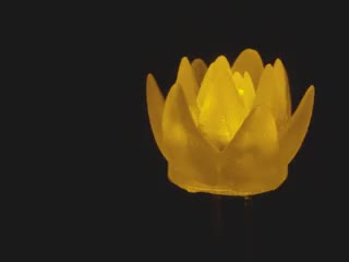 Video of a succulent-shaped LED emitting yellow light.