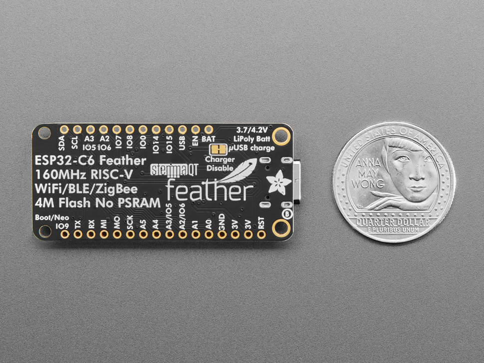 Back of rectangular dev board next to US quarter for scale.