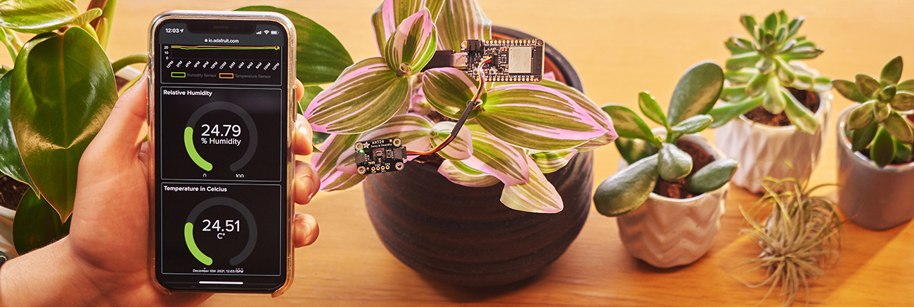 hand holding an iPhone showing Adafruit IO gauges in front of potted plants.